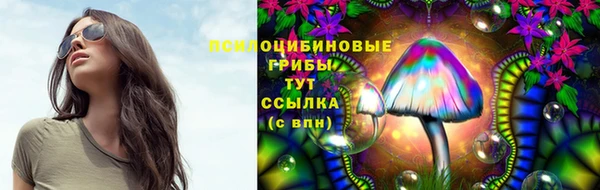 сатива Зерноград