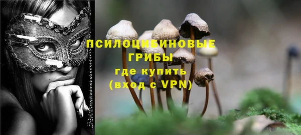 твердый Зеленокумск