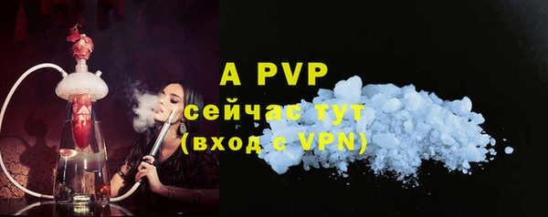 сатива Зерноград