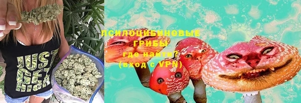 сатива Зерноград