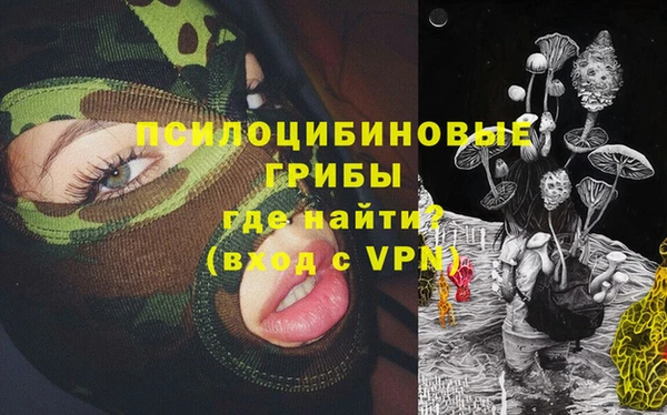 mdpv Зеленодольск