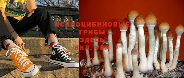 твердый Зеленокумск