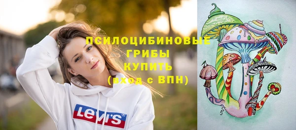 сатива Зерноград