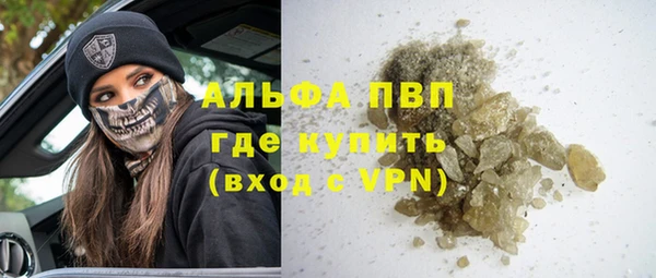сатива Зерноград