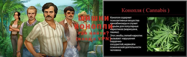 сатива Зерноград