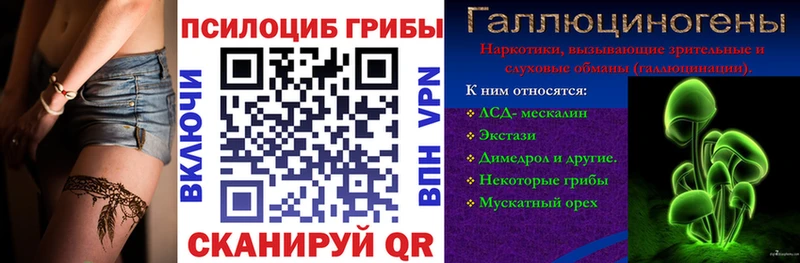 Галлюциногенные грибы Psilocybine cubensis  дарнет шоп  Зубцов 